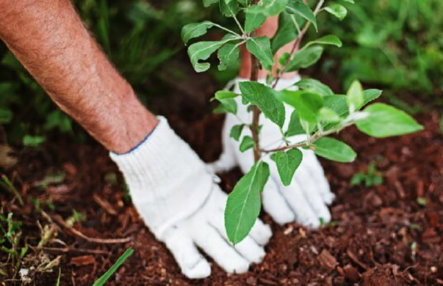 19 марта в Казахстане отмечают День обновления