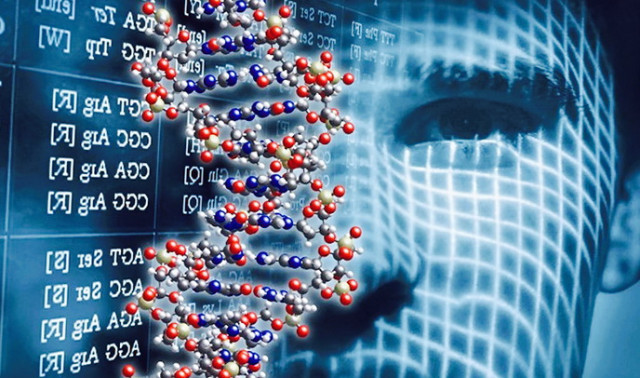 НУ окумуштууларынын иштеп чыгуулары премьер-министрге тааныштырылды
