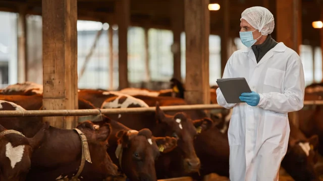UN experts share experience in combating dangerous infections with Kazakh veterinarians