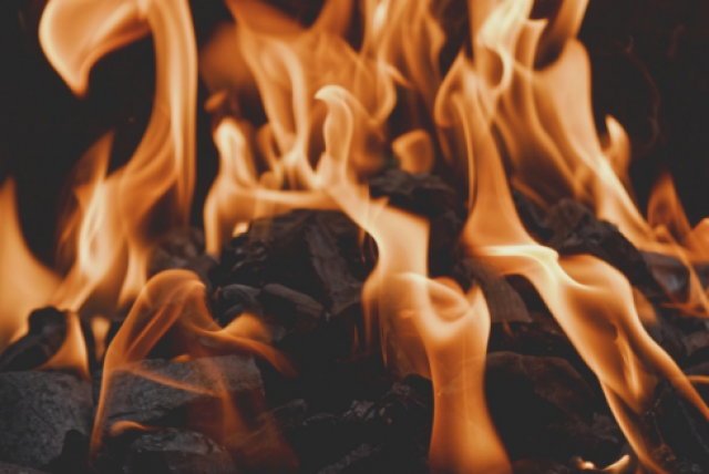 Казакстандык окумуштуулар коопсуз брикеттелген көмүр ойлоп тапты