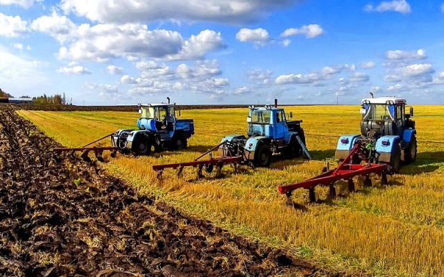 Farmers of East Kazakhstan region to increase area of fodder crops