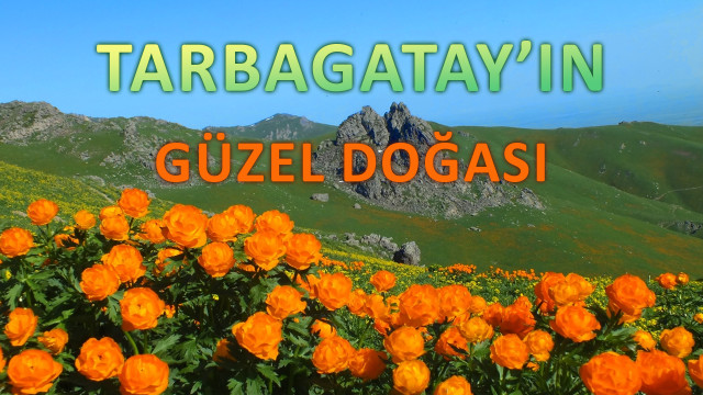 Tarbagatay’ın güzel doğası