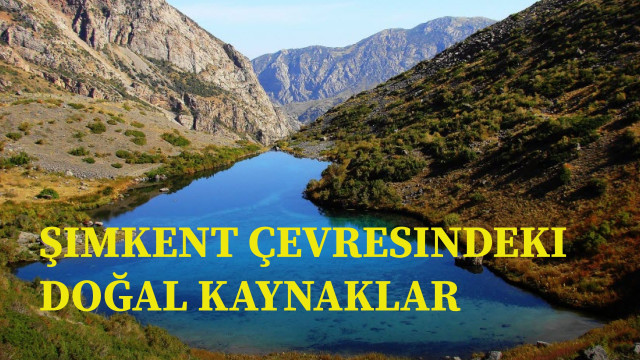 Şımkent çevresindeki doğal kaynaklar