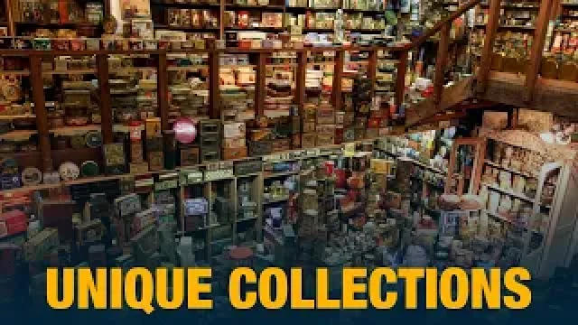 Unique collections of the beautiful Saule