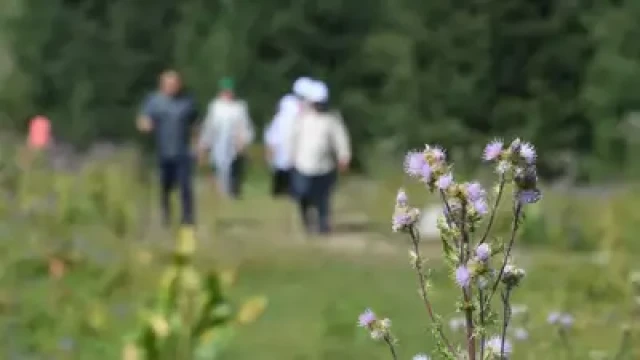 Kazakhstan climbs 14 positions up in global tourism ranking