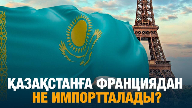 Қазақстанға Франциядан не импортталады?