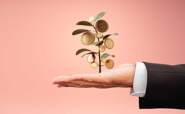 Рынок венчурных инвестиций в Казахстане стремительно растёт