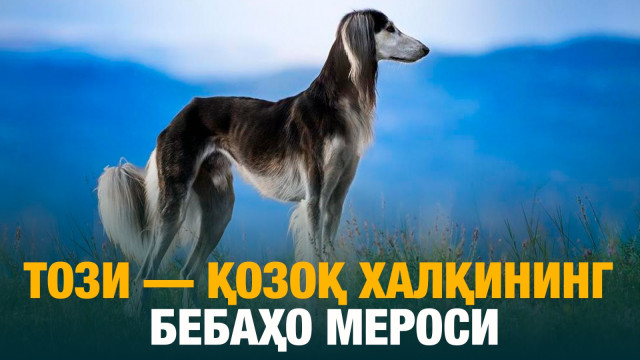 Този - қозоқ халқининг бебаҳо мероси