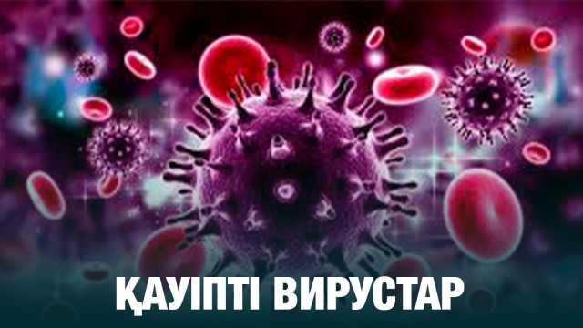 Қауіпті вирустар