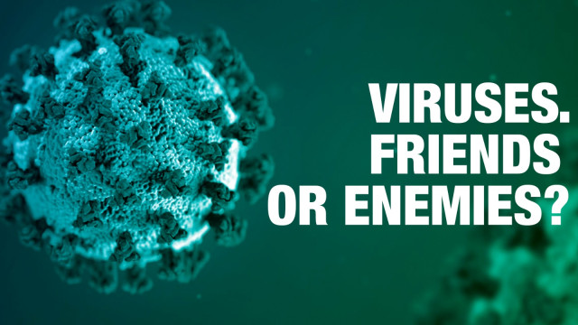 Viruses. Friends or enemies?