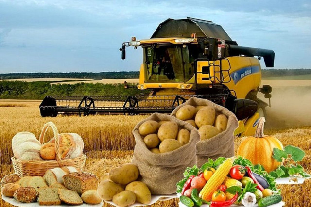 Қазақстан қайта өңделген өнімді $626,5 млн-ға экспорттады