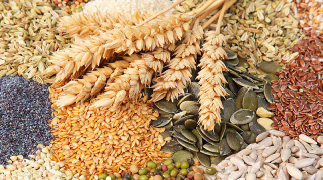 Kazakh business to supply agricultural products to China’s Jiangsu province