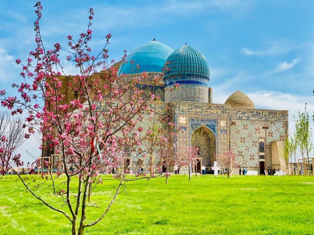 Туркистонга алоҳида мақом берилади