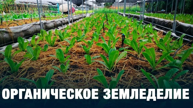 Органическое земледелие