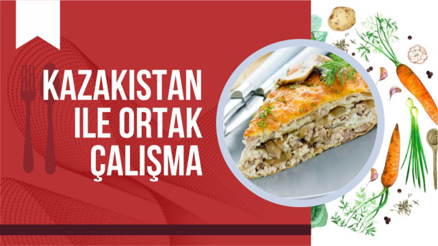 Kazakistan ile ortak çalışma