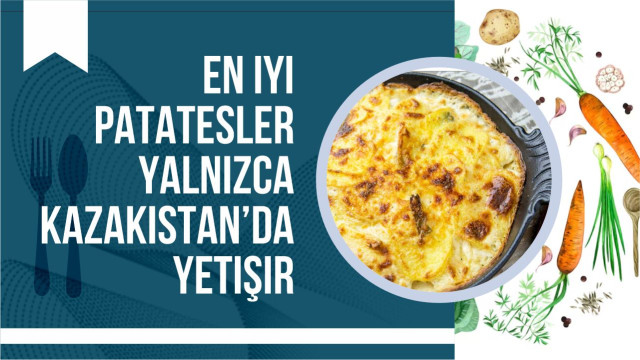 En iyi patatesler yalnızca Kazakistan’da yetişir