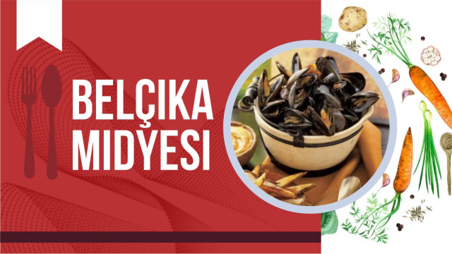 Belçika midyesi