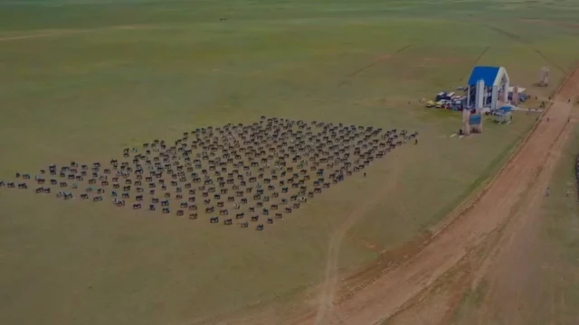 Абай облысында 500 бала рекордтар кітабына енді