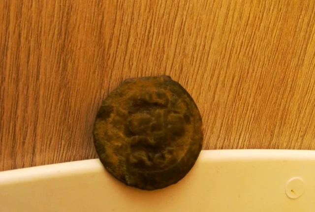 «Таңбалы» корук музейинен жаңы экспонаттар табылды