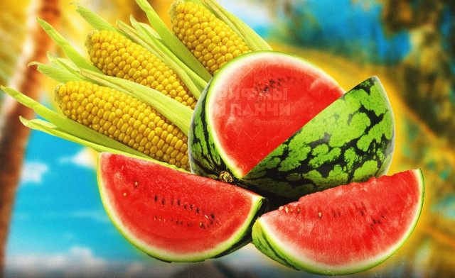 Кызылординские аграрии намерены собрасть хороший урожай