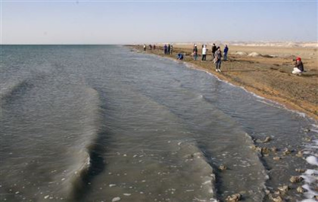 Kazakistan'da kuzey aralı koruma projesinin ikinci aşaması geliştiriliyor