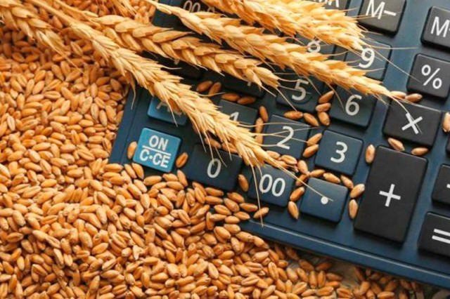 Казакстан быйыл 2,6 миллион тонна буудай экспорттоду