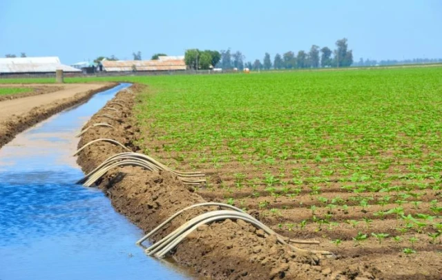 Uzbekistan sends 4 billion cubic meters of water to Kazakhstan since start of irrigation season