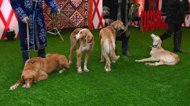 Тазының генетикалық бірегейлігі ғылыми дәлелденді