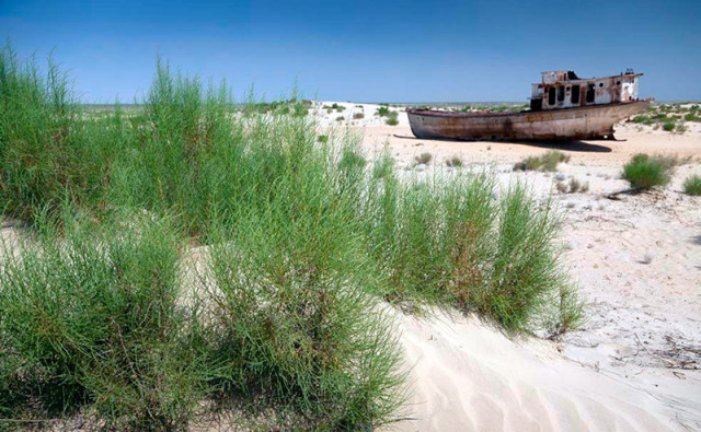 Китайские ученые поддержат Казахстан в озеленении высохшего дна Аральского моря