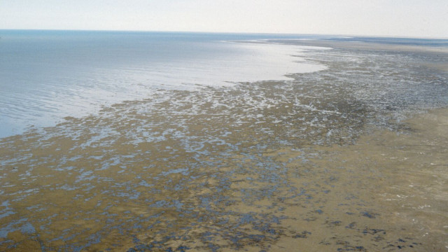 Kazakhstan to launch second phase of Northern Aral Sea restoration project