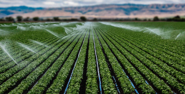 Sulama mevsiminde Kazakistanlı çiftçilere 6 milyar metreküpü aşkın su sağlanmıştır