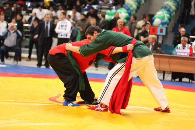 Около 50 спортсменов из Татарстана примут участие на Всемирных играх кочевников