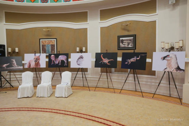 «Казакстандын жапайы жаратылышы» долбоору жаныбарларды коргоого өбөлгө түзөт