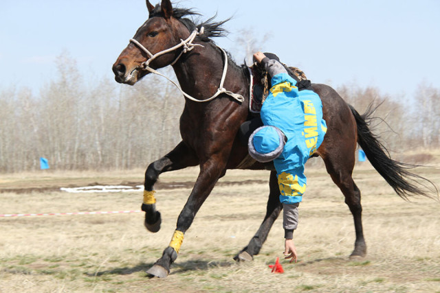 Қозоғистон терма жамоаси тенге илу бўйича чемпион бўлди
