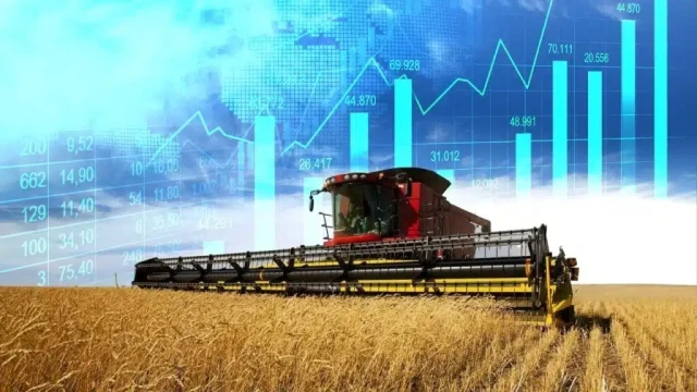 Kazakh agricultural producers expect record rice harvest