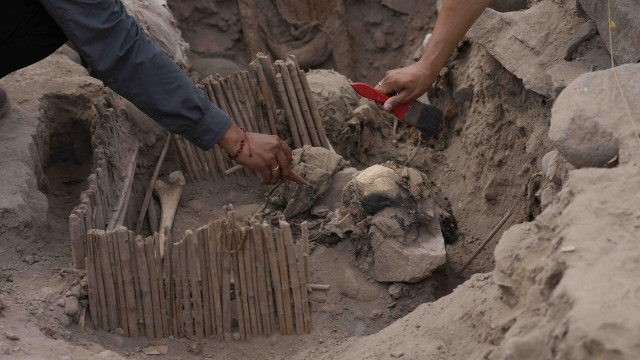 Туркистонда қадимий жангчи қабри топилди