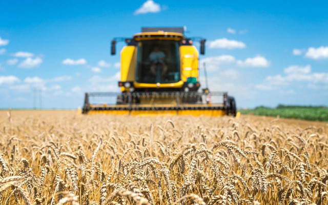 Ҳукуматда агросаноатни ривожлантириш масаласи муҳокама қилинди