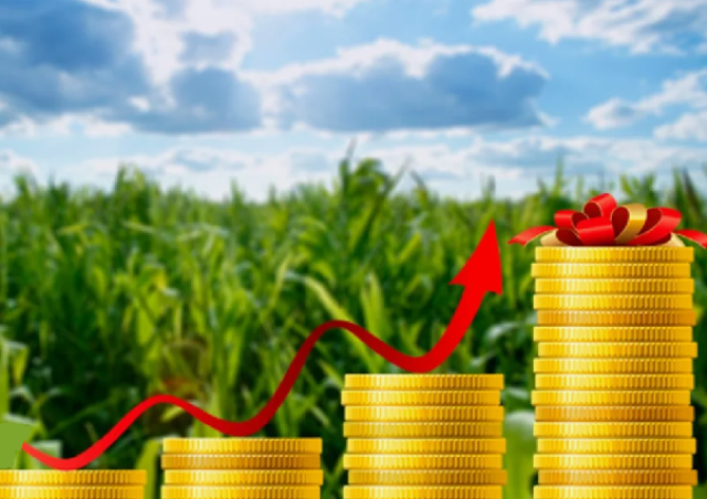 Funding for agro-industrial complex in Kazakhstan to increase to 700 billion tenge in 2025
