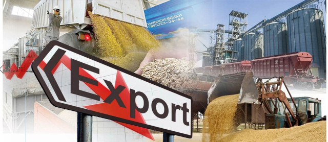 Kazakhstan intends to export grain to new markets