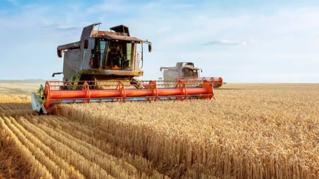 Kazakhstan harvests 75% of grain