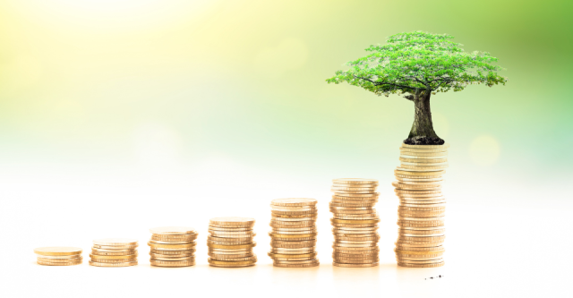 IV International Endowment Forum held in Kazakhstan