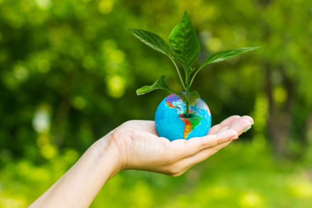 Қозоғистоннинг экологик дастури халқаро танловда финалга чиқди