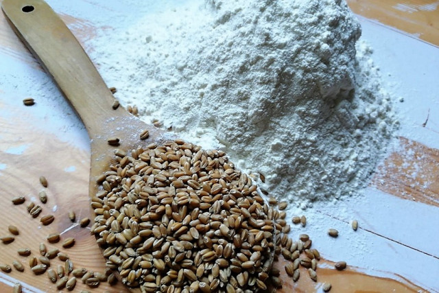 Kazakhstan to expand sales market for flour and grain