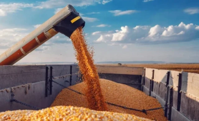 Kazakhstan set to export over 12 million tonnes of grain this year