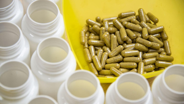 Kazakh scientists develop food supplement for athletes