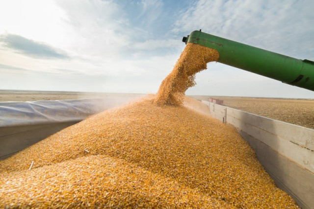 Kazakhstan increases grain exports