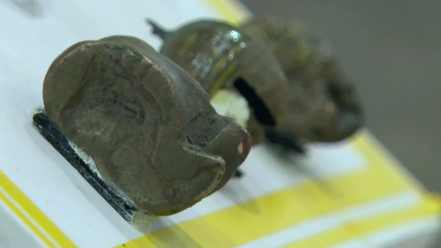 Казакстандык байыркы шаарчадан баалуу экспонаттар табылды