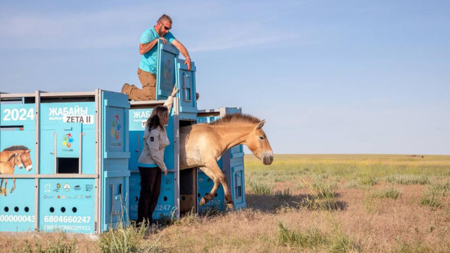Kazakhstan’s Altyn Dala Initiative wins environmental Earthshot Prize