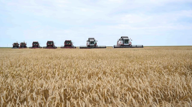 Kazakhstan increases agricultural exports