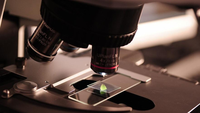 Kazakistan'da 2025-2027 yılları arasında 113 bilimsel ve teknik çalışma yürütülecek